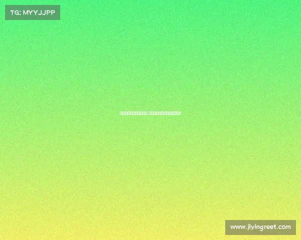 赛乐赛事故引发多方问责 安全整改与责任追究全面展开